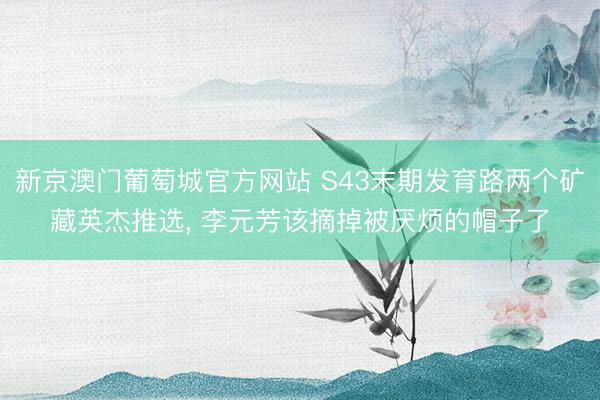 新京澳门葡萄城官方网站 S43末期发育路两个矿藏英杰推选， 李元芳该摘掉被厌烦的帽子了