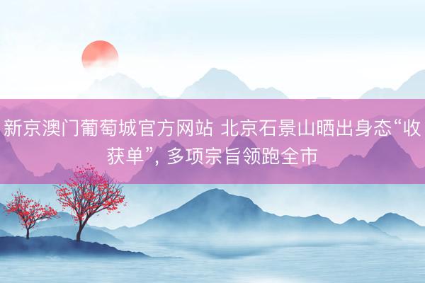 新京澳门葡萄城官方网站 北京石景山晒出身态“收获单”， 多项宗旨领跑全市