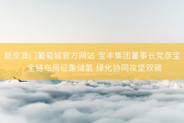 新京澳门葡萄城官方网站 宝丰集团董事长党彦宝: 全链布局征象储氢 绿化协同攻坚双碳