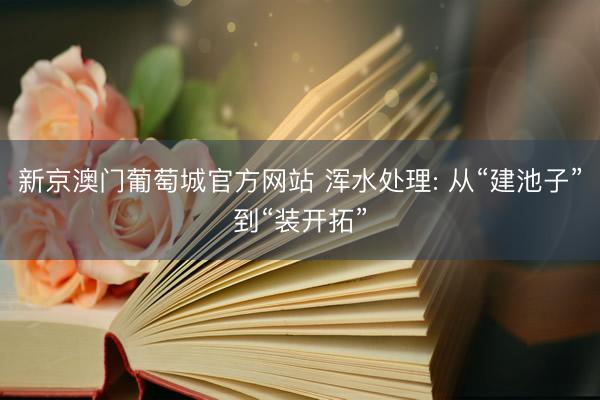 新京澳门葡萄城官方网站 浑水处理: 从“建池子”到“装开拓”