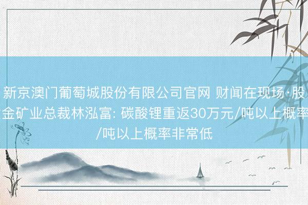 新京澳门葡萄城股份有限公司官网 财闻在现场·股东会|紫金矿业总裁林泓富: 碳酸锂重返30万元/吨以上概率非常低