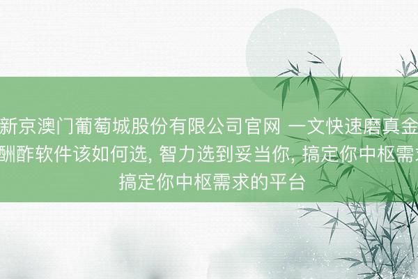 新京澳门葡萄城股份有限公司官网 一文快速磨真金不怕火: 酬酢软件该如何选， 智力选到妥当你， 搞定你中枢需求的平台