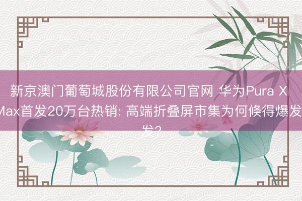 新京澳门葡萄城股份有限公司官网 华为Pura X Max首发20万台热销: 高端折叠屏市集为何倏得爆发?