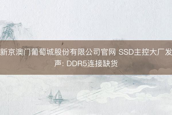 新京澳门葡萄城股份有限公司官网 SSD主控大厂发声: DDR5连接缺货