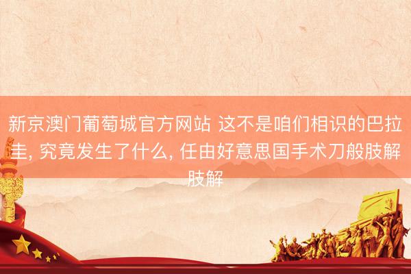 新京澳门葡萄城官方网站 这不是咱们相识的巴拉圭， 究竟发生了什么， 任由好意思国手术刀般肢解