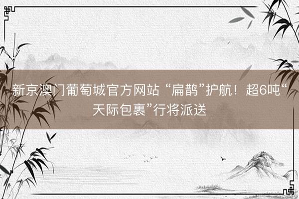 新京澳门葡萄城官方网站 “扁鹊”护航!超6吨“天际包裹”行将派送