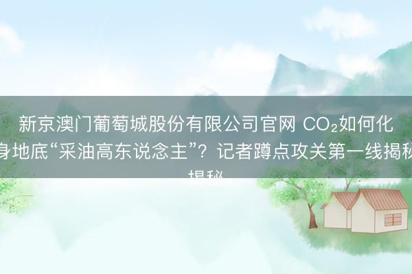 新京澳门葡萄城股份有限公司官网 CO₂如何化身地底“采油高东说念主”？记者蹲点攻关第一线揭秘