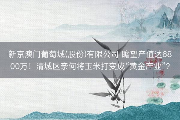 新京澳门葡萄城(股份)有限公司 瞻望产值达6800万！清城区奈何将玉米打变成“黄金产业”？