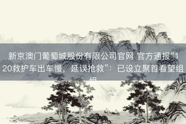 新京澳门葡萄城股份有限公司官网 官方通报“120救护车出车慢，延误抢救”：已设立聚首看望组