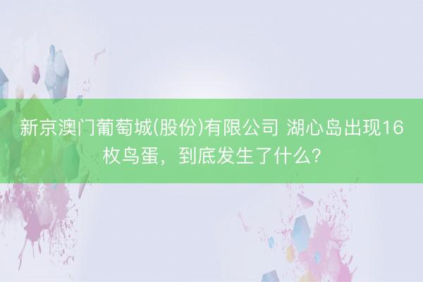 新京澳门葡萄城(股份)有限公司 湖心岛出现16枚鸟蛋，到底发生了什么？