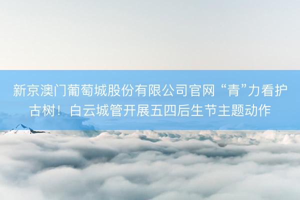 新京澳门葡萄城股份有限公司官网 “青”力看护古树！白云城管开展五四后生节主题动作