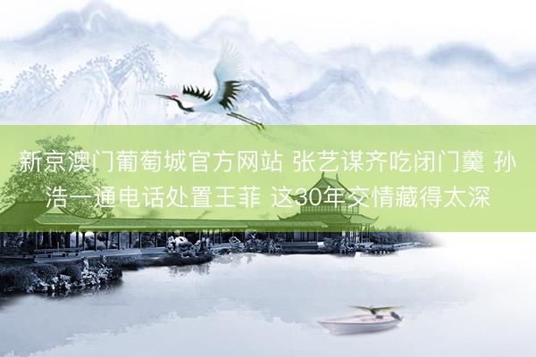 新京澳门葡萄城官方网站 张艺谋齐吃闭门羹 孙浩一通电话处置王菲 这30年交情藏得太深